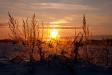 _IMG0310 copy.jpg